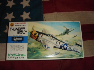 Has B8  Republic P-47D Thunderbolt
